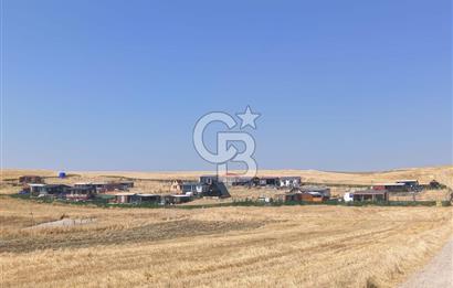 Akyurt Cücük'te Eşyalı Hazır Yaşam Alanı ve Meyve Bahçesi