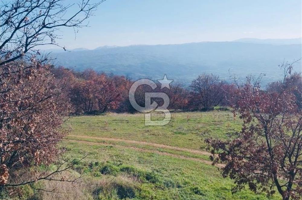 🌿 İZMİR KİRAZ BAŞARAN Mah. 10.945 M² SATILIK TARLA