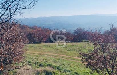🌿 İZMİR KİRAZ BAŞARAN Mah. 10.945 M² SATILIK TARLA