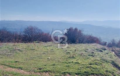 🌿 İZMİR KİRAZ BAŞARAN Mah. 10.945 M² SATILIK TARLA