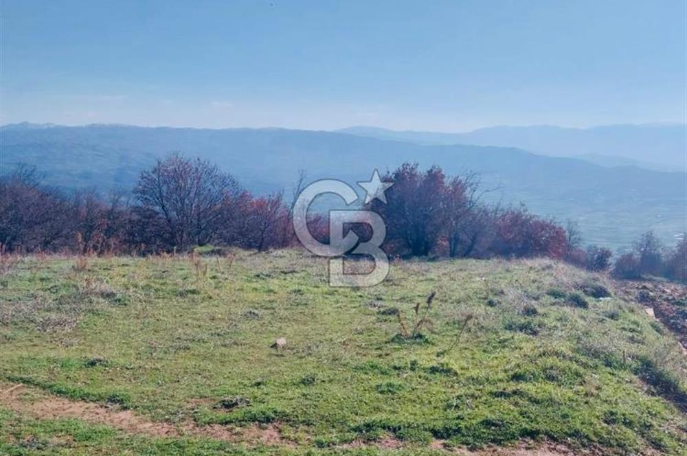 🌿 İZMİR KİRAZ BAŞARAN Mah. 10.945 M² SATILIK TARLA