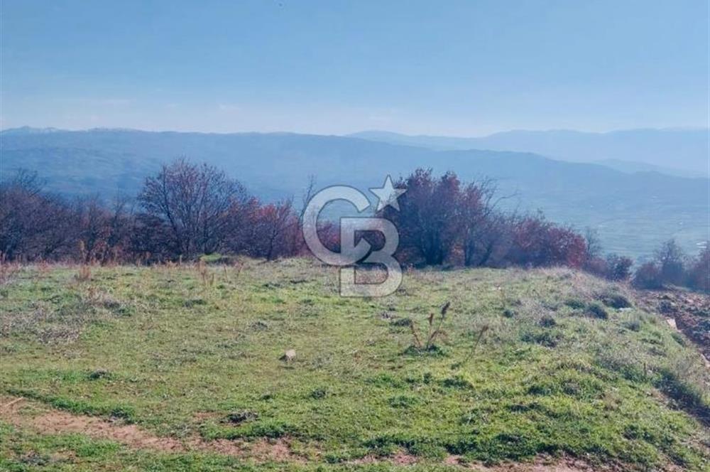 🌿 İZMİR KİRAZ BAŞARAN Mah. 10.945 M² SATILIK TARLA