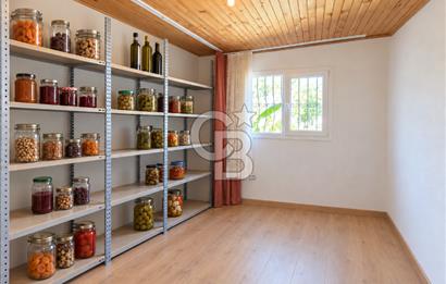 Seferhisar Bademler Çok Yakın Çiftlik Evi Zeytinli Tarla Herşey Dahil Satılık