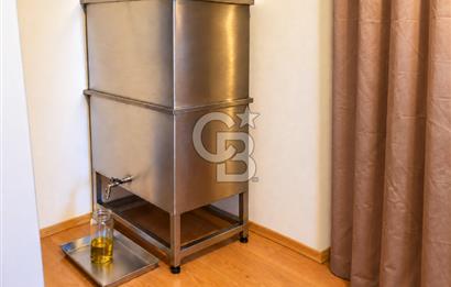 Seferhisar Bademler Çok Yakın Çiftlik Evi Zeytinli Tarla Herşey Dahil Satılık