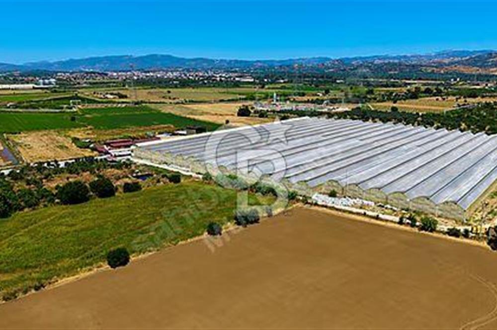 AYDIN GERMENCİK'TE 68.055 m² MODERN TOPRAKSIZ TARIM SERASI
