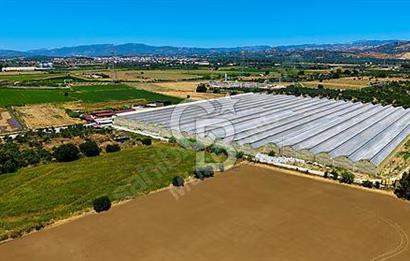 AYDIN GERMENCİK'TE 68.055 m² MODERN TOPRAKSIZ TARIM SERASI
