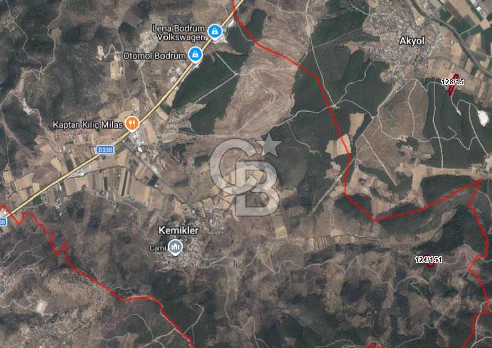 Muğla Milas Kemikler Satılık Uygun Fiyatlı Zeytinlik