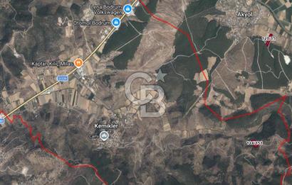 Muğla Milas Kemikler Satılık Uygun Fiyatlı Zeytinlik