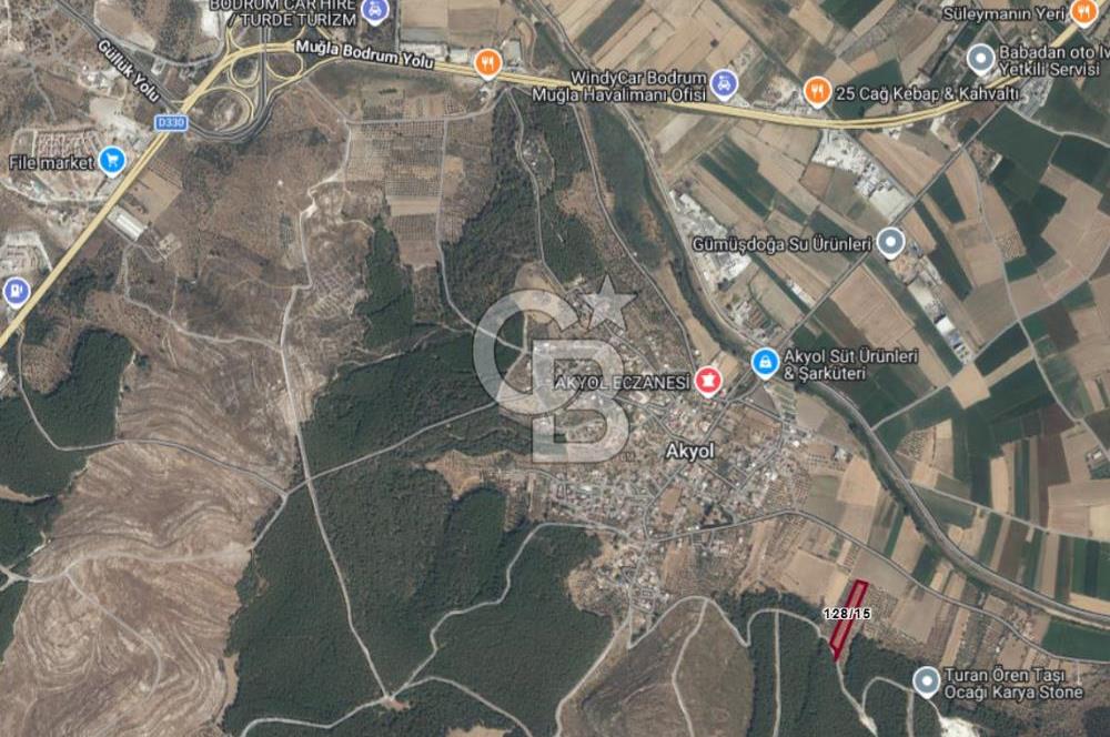 Muğla Milas Yakaköy Satılık Zeytinlik