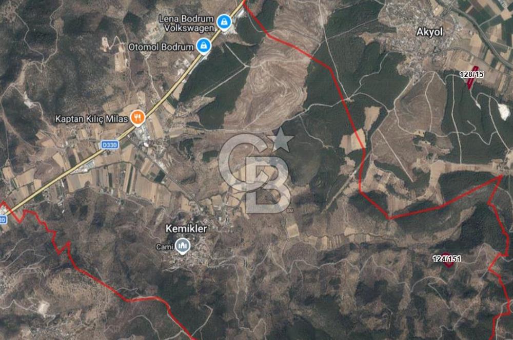 Muğla Milas Kemikler Satılık Uygun Fiyatlı Zeytinlik
