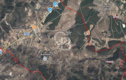Muğla Milas Kemikler Satılık Uygun Fiyatlı Zeytinlik