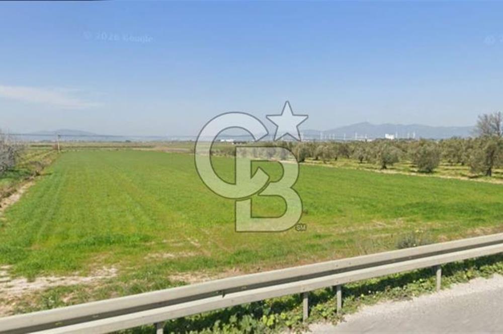 İZMİR–ÇANAKKALE YOLUNA 50 M CEPHELİ | BERGAMA TEKKEDERE’DE FIRSAT ARAZİ