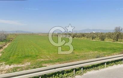 İZMİR–ÇANAKKALE YOLUNA 50 M CEPHELİ | BERGAMA TEKKEDERE’DE FIRSAT ARAZİ