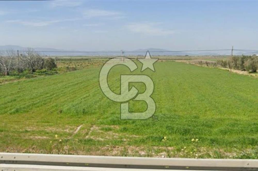 İZMİR–ÇANAKKALE YOLUNA 50 M CEPHELİ | BERGAMA TEKKEDERE’DE FIRSAT ARAZİ