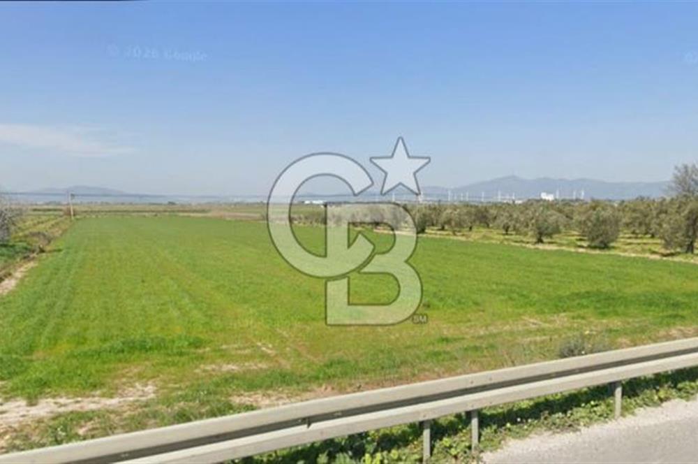 İZMİR–ÇANAKKALE YOLUNA 50 M CEPHELİ | BERGAMA TEKKEDERE’DE FIRSAT ARAZİ