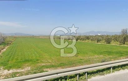 İZMİR–ÇANAKKALE YOLUNA 50 M CEPHELİ | BERGAMA TEKKEDERE’DE FIRSAT ARAZİ