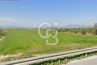 İZMİR–ÇANAKKALE YOLUNA 50 M CEPHELİ | BERGAMA TEKKEDERE’DE FIRSAT ARAZİ - 1 - 373596
