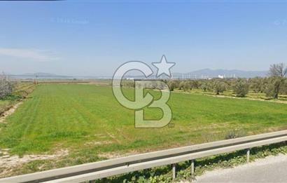 İZMİR–ÇANAKKALE YOLUNA 50 M CEPHELİ | BERGAMA TEKKEDERE’DE FIRSAT ARAZİ