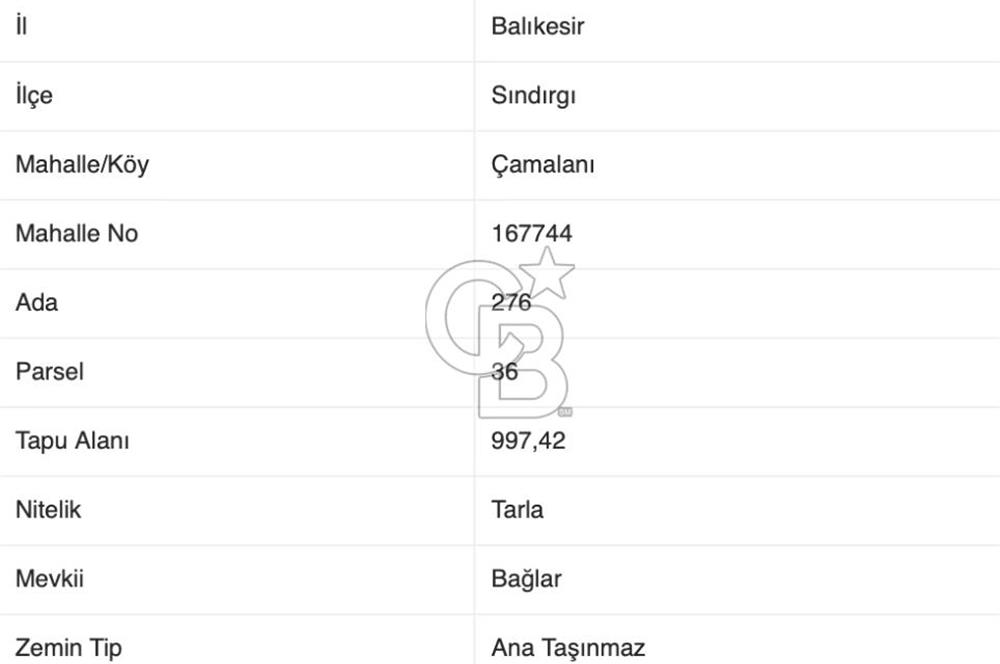 CB EAGLE'DAN SINDIRGI ÇAMALANI'NDA SATILIK 997,42 m² TARLA