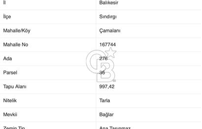 CB EAGLE'DAN SINDIRGI ÇAMALANI'NDA SATILIK 997,42 m² TARLA