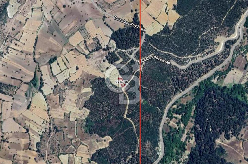 CB EAGLE'DAN SINDIRGI ÇAMALANI'NDA SATILIK 997,42 m² TARLA