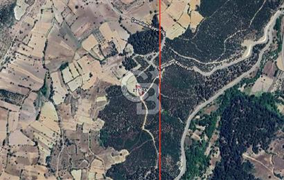 CB EAGLE'DAN SINDIRGI ÇAMALANI'NDA SATILIK 997,42 m² TARLA