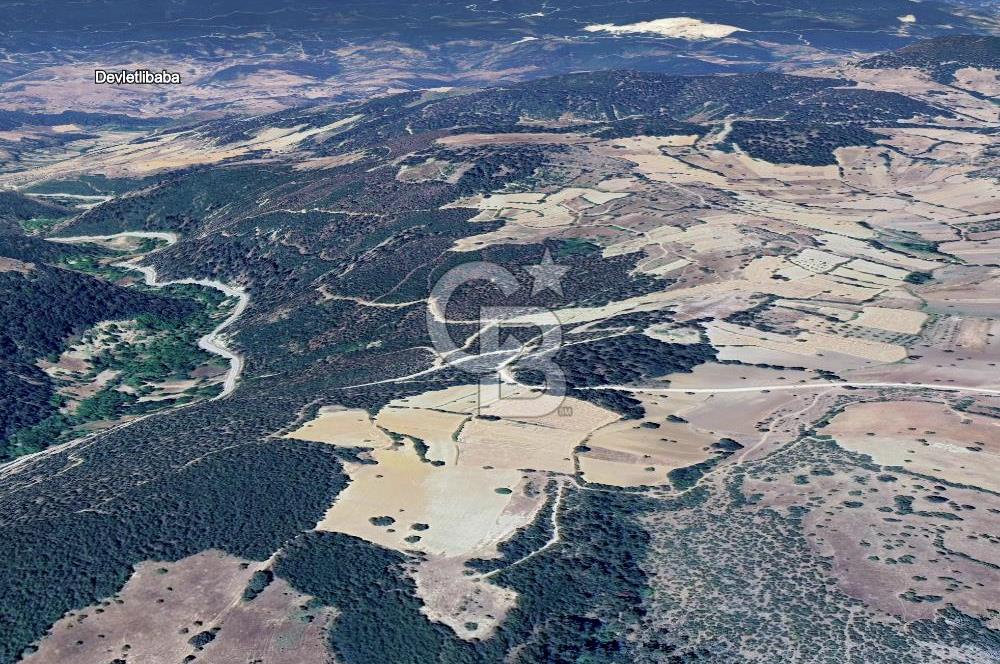 CB EAGLE'DAN SINDIRGI ÇAMALANI'NDA SATILIK 997,42 m² TARLA