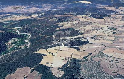 CB EAGLE'DAN SINDIRGI ÇAMALANI'NDA SATILIK 997,42 m² TARLA