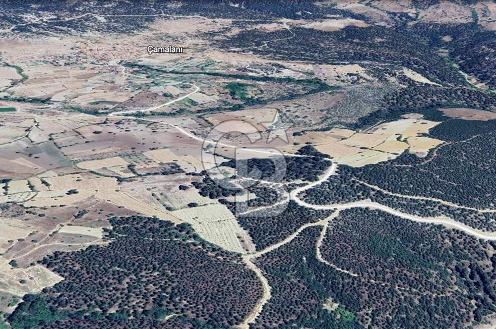 CB EAGLE'DAN SINDIRGI ÇAMALANI'NDA SATILIK 997,42 m² TARLA