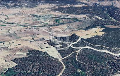 CB EAGLE'DAN SINDIRGI ÇAMALANI'NDA SATILIK 997,42 m² TARLA