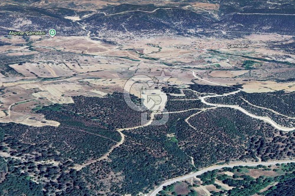 CB EAGLE'DAN SINDIRGI ÇAMALANI'NDA SATILIK 997,42 m² TARLA