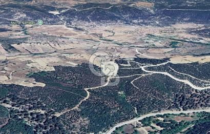CB EAGLE'DAN SINDIRGI ÇAMALANI'NDA SATILIK 997,42 m² TARLA
