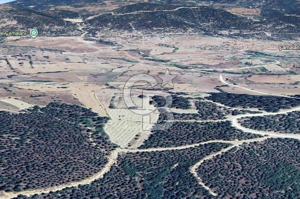 CB EAGLE'DAN SINDIRGI ÇAMALANI'NDA SATILIK 997,42 m² TARLA
