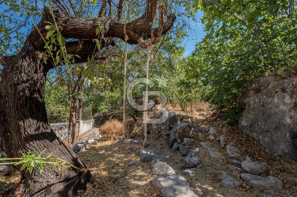 Karaburun Saip'te Geniş Bahçeli Taş Ev