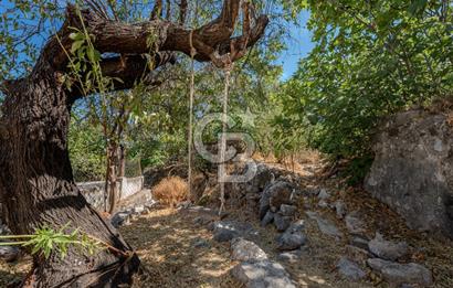 Karaburun Saip'te Geniş Bahçeli Taş Ev