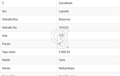 ÇANAKKALE LAPSEKİ BEYPINAR’DA SATILIK TARLA