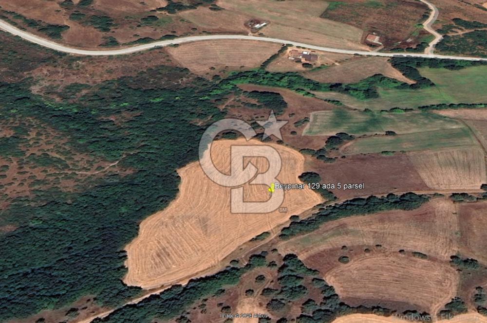 ÇANAKKALE LAPSEKİ BEYPINAR’DA SATILIK TARLA