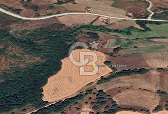 ÇANAKKALE LAPSEKİ BEYPINAR’DA SATILIK TARLA - 1 - 373652