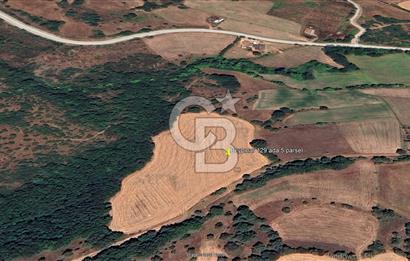 ÇANAKKALE LAPSEKİ BEYPINAR’DA SATILIK TARLA