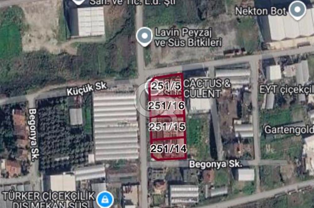YALOVA ALTINOVA TAVŞANLI’DA 4.167M² TİCARİ İMARLI ARSA