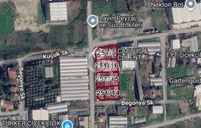 YALOVA ALTINOVA TAVŞANLI’DA 4.167M² TİCARİ İMARLI ARSA