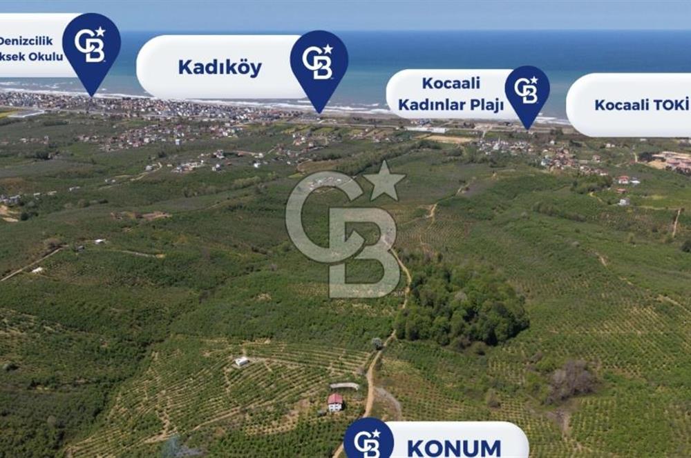 CB ENVOY SAKARYA KOCAALİ CAFERİYE'DE SATILIK 4421 M² ARSA-TARLA