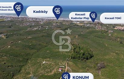 CB ENVOY SAKARYA KOCAALİ CAFERİYE'DE SATILIK 4421 M² ARSA-TARLA