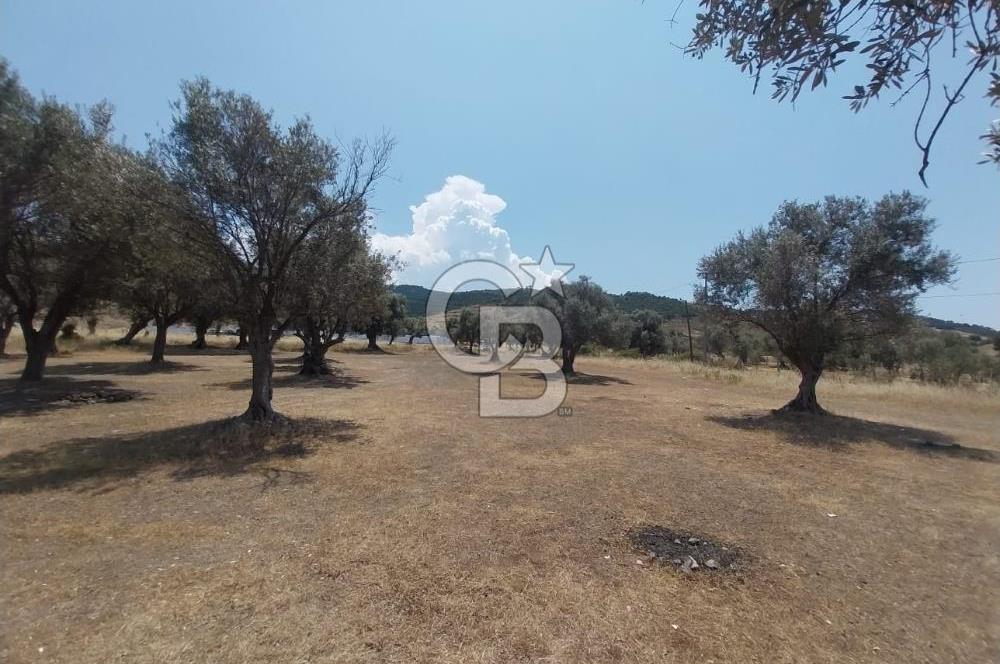 İzmir Güzelbahçe Yaka Mahallesi'nde Geleceğe Açılan Fırsat