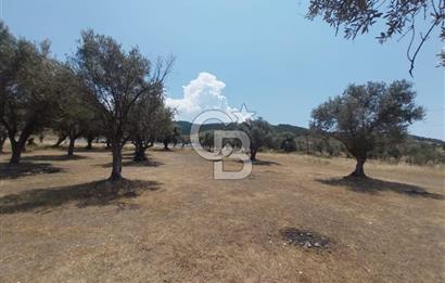 İzmir Güzelbahçe Yaka Mahallesi'nde Geleceğe Açılan Fırsat