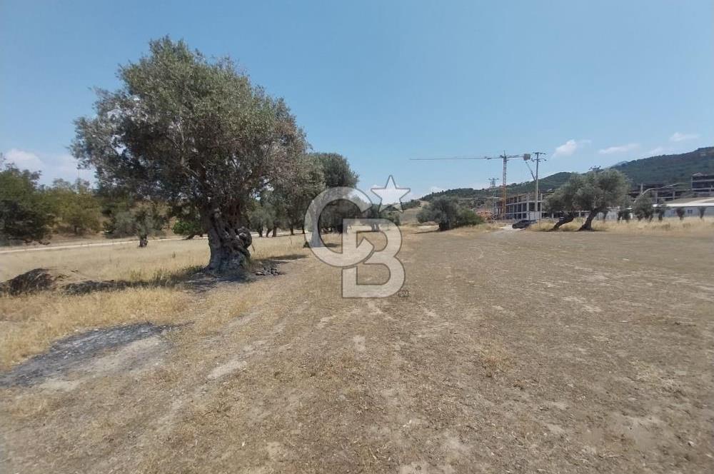 İzmir Güzelbahçe Yaka Mahallesi'nde Geleceğe Açılan Fırsat