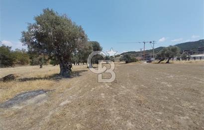 İzmir Güzelbahçe Yaka Mahallesi'nde Geleceğe Açılan Fırsat
