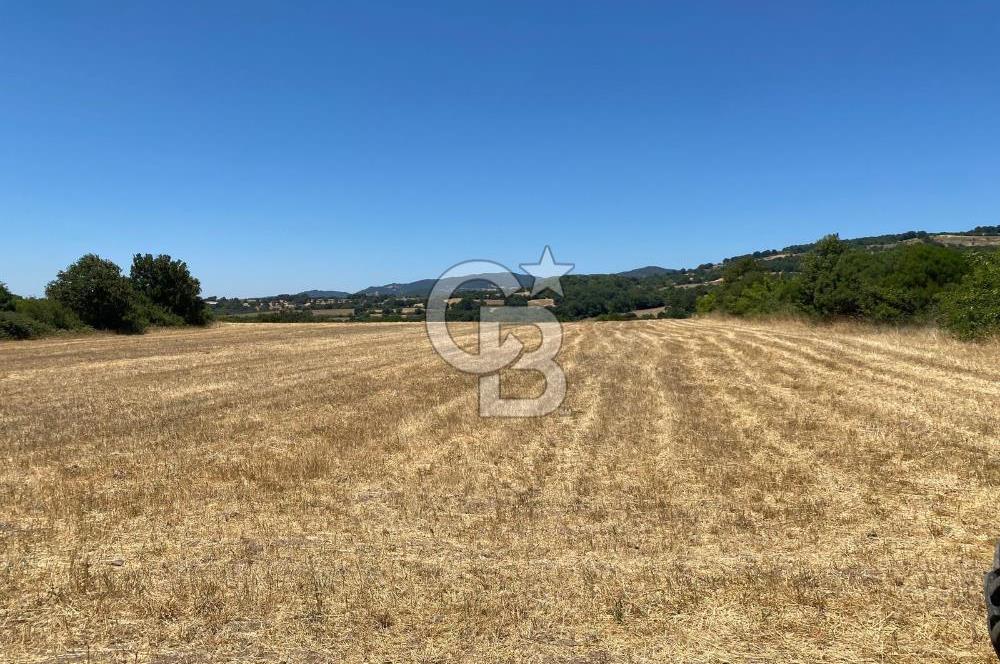 CB KİNG'DEN BALYA/ORHANLAR MAHALLESİ'NDE 29694m² SATILIK TARLA