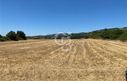 CB KİNG'DEN BALYA/ORHANLAR MAHALLESİ'NDE 29694m² SATILIK TARLA