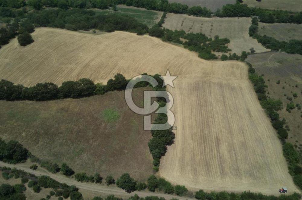 CB KİNG'DEN BALYA/ORHANLAR MAHALLESİ'NDE 29694m² SATILIK TARLA